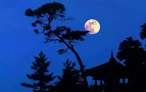 “月上柳梢头,人约黄昏后”这么美的诗描写的竟然是婚内出轨?