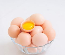 会游泳的鸡蛋实验过程，会游泳的鸡蛋教案