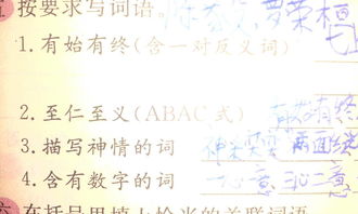 是的反义词是啥，是的反义词一年级