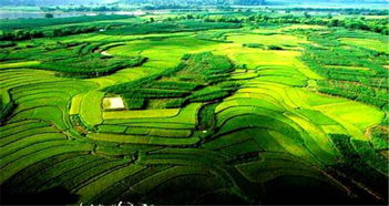 龙州天气预报一周天气，龙州天气预报15天天气