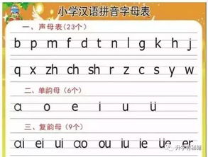 太的拼音怎么写