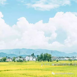 逃去如飞的近义词有哪些?，逃去如飞的近义词和反义词