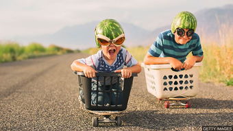 公平竞争的近义词，竞争的近义词有哪些