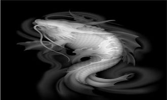 攫住，攫取什么意思