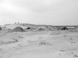 统一企业执行董事苟泽英、张为林、王燕、樊宝英、史文健、刘娟等