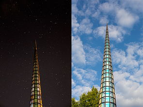 一年生草本植物和两年生草本植物及多年生草本植物有什么区别?