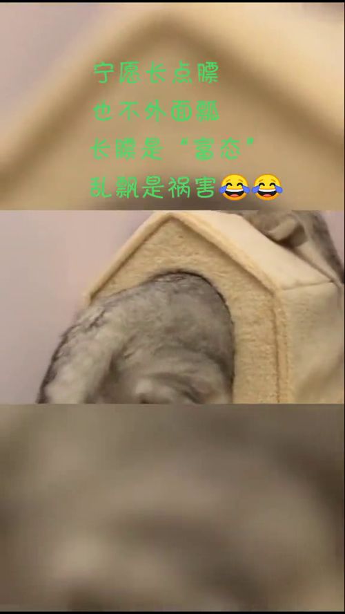 憋的读音是什么