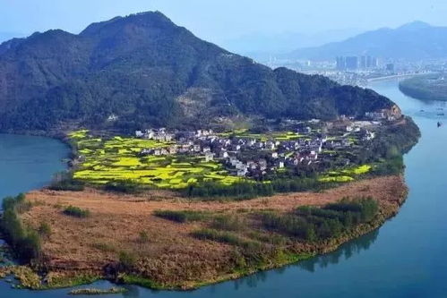 湖南桑植县高三女生，湖南桑植县一中
