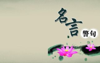 我喜欢的一句名言作文，我喜欢的一句名言作文300字