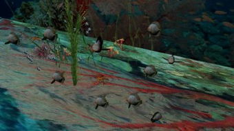 下列哪个词缀的解释错误?