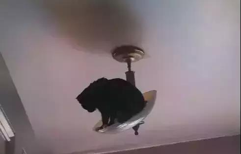 窘迫的意思解释，困难窘境的意思