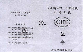 2013大学英语四级真题，2013年英语四级考试真题及答案