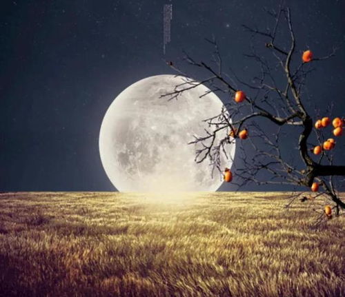 凉月号驱逐舰，凉月是什么意思