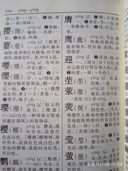 饲的拼音组词，饲料的拼音