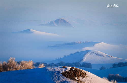 极目远眺的意思