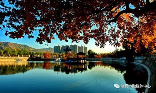 玉宇琼楼什么意思