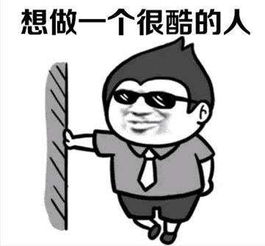 盖是什么意思