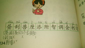刮的组词