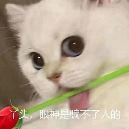 幸亏的意思