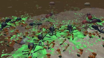 蚂蚁战争 模拟，蚂蚁战争下载