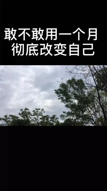 彻底删除的照片怎么恢复，彻底删除的视频还能恢复吗