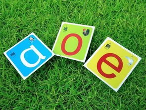 苦拼音组词，莲拼音怎么读