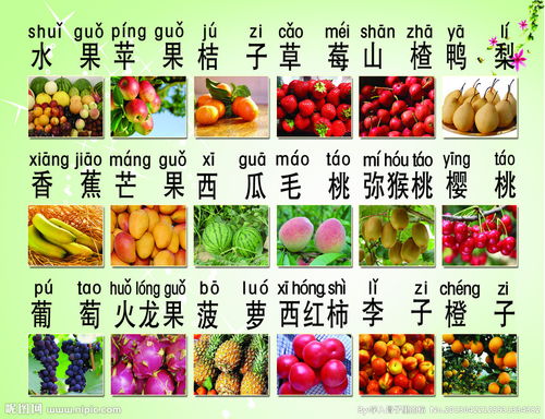 水果拼音大全图片，水果拼音名称大全