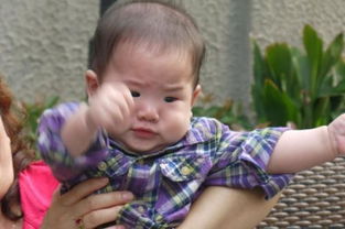 社会愤青是什么意思，网络愤青是什么意思