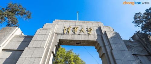 北大何晓东是真实的吗