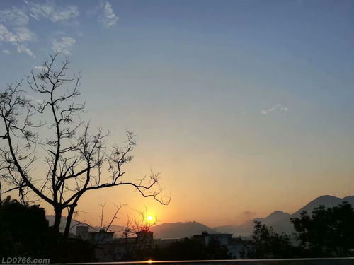 朝朝暮暮的拼音怎么读，朝朝暮暮的拼音怎么拼写