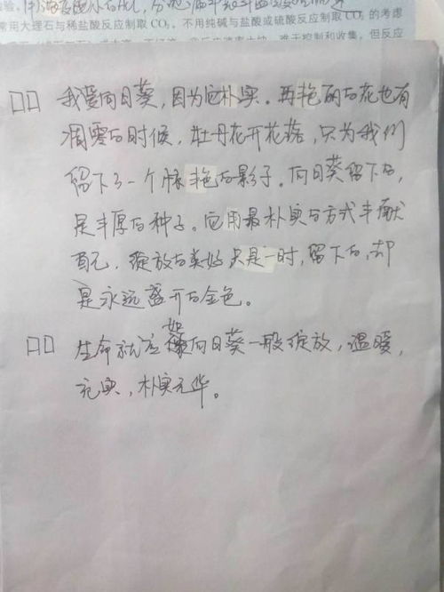 绽放话题作文