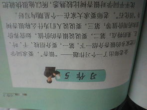 描写银杏树的作文