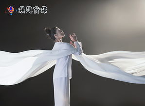 舞蹈家的英语怎么读，钢琴家的英语