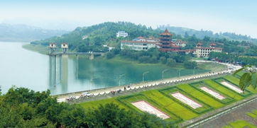 荣县天气预报15天，荣县天气预报40天查询百度