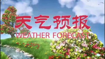 林州逐小时预报天气预报15天，河南气象台预报林州天气