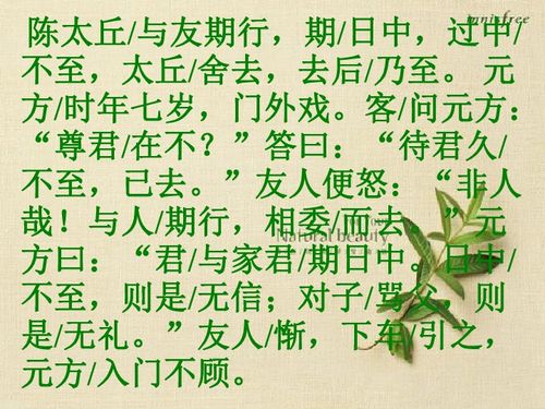陈太丘与友期行文言文翻译