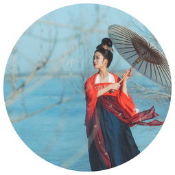 惊鸿照影是什么意思，惊鸿照影小说