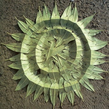 自然神论名词解释，自然神论是谁提出来的