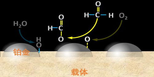 触媒剂的概念,原理是什么?