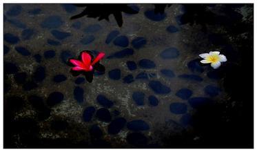 《浪淘沙·李煜》原文与赏析