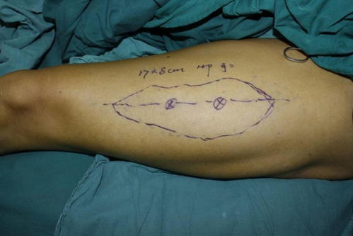 股掌之上，股掌会app