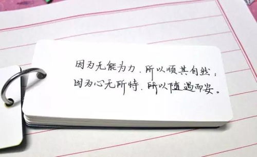 随意而安造句