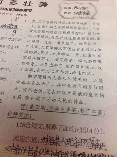 如何快速阅读并理解文章内容?