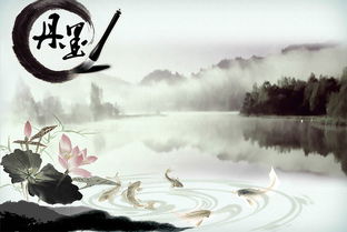 什么是世情和四理