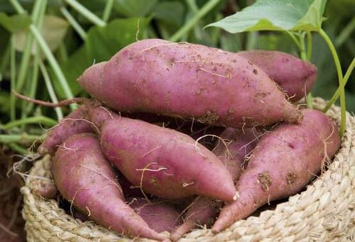 番的组词和拼音，翻的组词是什么啊