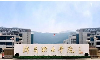 济南职业学院春考网络录取分数线