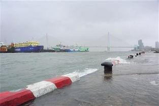 海水倒灌会导致什么后果，海水倒灌和海水入侵的区别