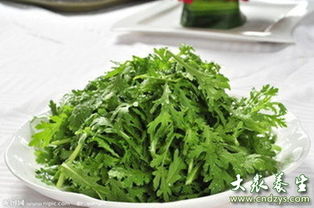 蓬蒿的意思是什么