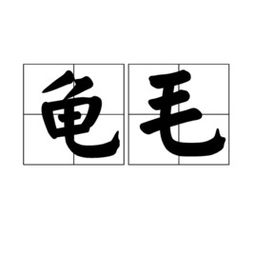 蓍龟怎么读，成天下之亹亹者,莫大乎蓍龟
