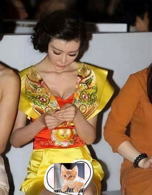 她曾是郎朗的前女友,上舞林大会秀身材被金星大骂,巩新亮如今怎么样了